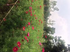 iphone_upload_pic-秀丽东方