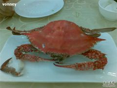 野生梭子蟹-海岛渔村大酒店(云霄路店)