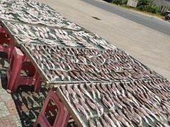 -中国花亭湖风景名胜区-西风禅寺