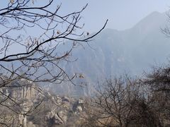 -秦岭终南山世界地质公园翠华山景区