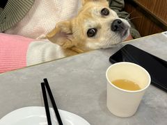 -台北楚楚园馅饼粥(虹桥南丰城店)