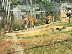 -黔灵山公园-南门售票处