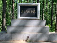 -塞罕坝国家级自然保护区