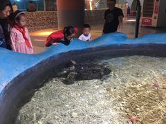 -绍兴梦享海洋公园