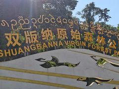 -西双版纳原始森林公园