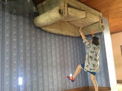 -金山农民画村-枫泾波兰倒置屋