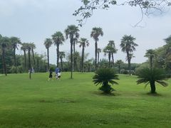 -新洲生态园