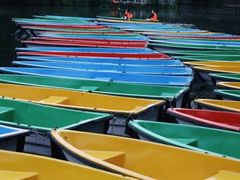 -商丘市人民公园