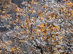 -本溪老边沟风景区