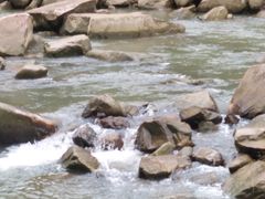 -四会奇石河风景区