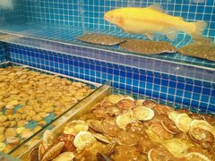 水产区-乔哥铭洋海鲜自助(皇城恒隆广场店)