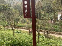 -渣滓洞