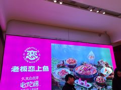 -老板恋上鱼(恒隆广场店)