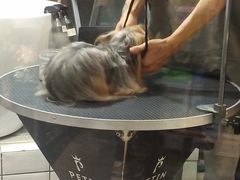 -宠物世家(仲盛世界商城店)