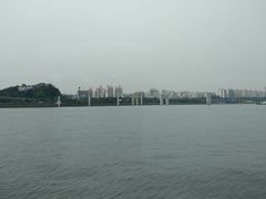 -大国药妆(NEW心斎橋店)