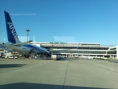 -全日本空输株式会社(上海办事处)