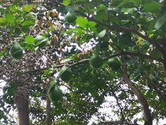 -长沙滨江文化园