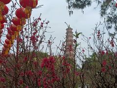 -广州莲花山旅游区