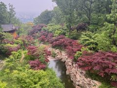 -大伊山景区