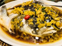 -庐州太太(信地店)