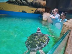 -乌鲁木齐海洋馆