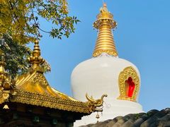 -护国法轮寺