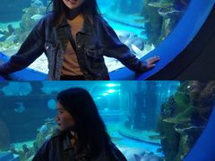 -石林冰雪海洋世界