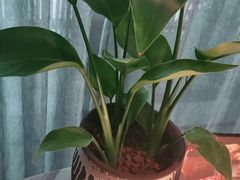 -宴昆山·私房菜(春晖店)