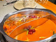 特色麻辣拼木瓜番茄锅底-重庆锦火锅(惠福东路店)