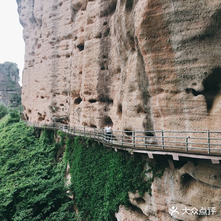 令我惊喜的是第一次看到开在悬崖边上的野百合
