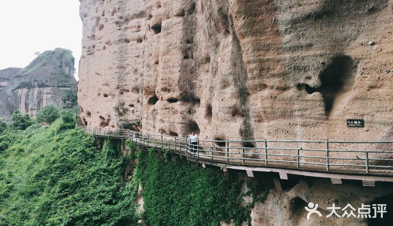 令我惊喜的是第一次看到开在悬崖边上的野百合