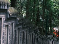 -老君山