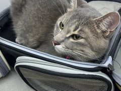 -拜鲁耶动物诊疗中心·宠家动物医院