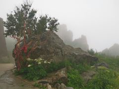 -白草畔自然风景区