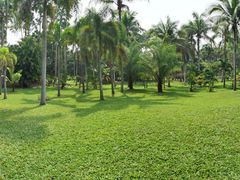 -中国科学院西双版纳热带植物园