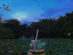 -熊猫一间店欧式奶茶铺