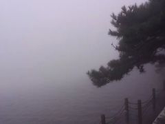 -庐山风景区花径公园