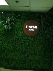 -V-STAR威斯达•高级私人定制