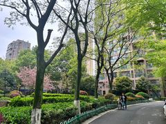 -径山花海