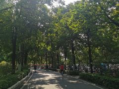 -广东花都湖国家湿地公园