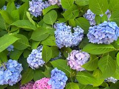 -沈阳植物园