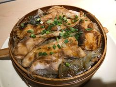 -四星望月(中联店)