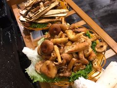 -易门野生菌府·菌海森林(月牙潭公园店)
