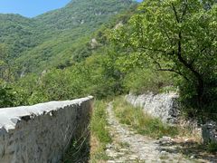 -阳台山自然风景区