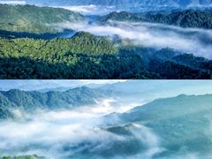 -梵净山旅游区