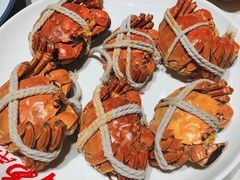 -杨氏青龙虾·羊蝎子(金盛路总店)