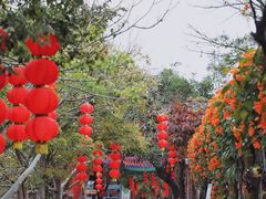 -丹樱生态园