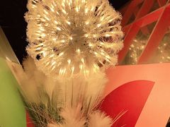 -佐佑帐篷环游记(南锣鼓巷店)