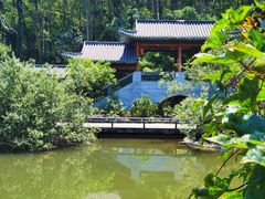 -广州神农草堂中医药博物馆