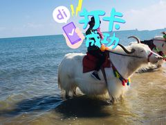 -青海湖国家重点风景名胜区